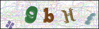 Afbeeldingsverificatie