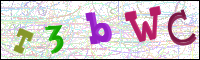 Afbeeldingsverificatie