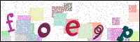 Afbeeldingsverificatie